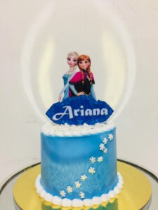 frozen cake design, mini cake